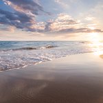 P3969DCandrewg